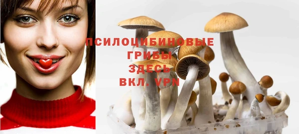 2c-b Алексеевка